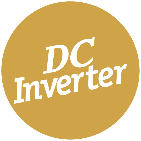 DC Inverter